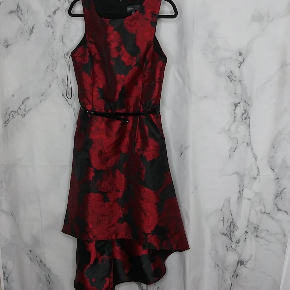 Donna Ricco sleeveless dress